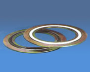 sprial wound gasket