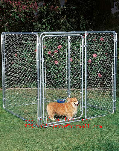 chain link fence kennel