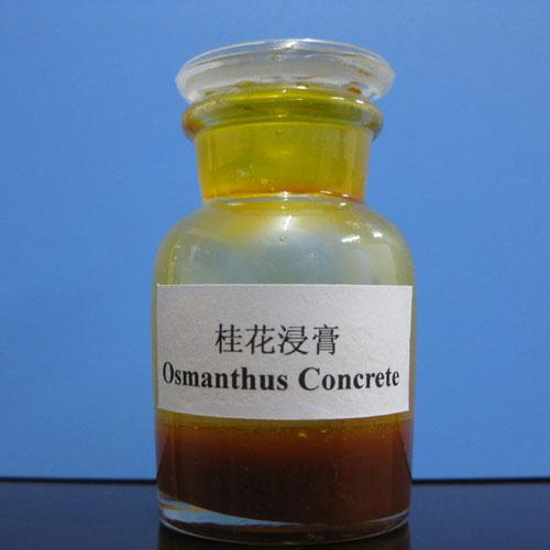 Osmanthus concrete