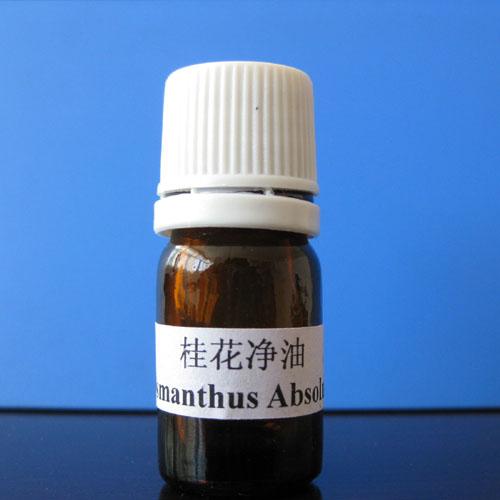 Osmanthus absolute