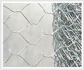 hexagonal wire netting 