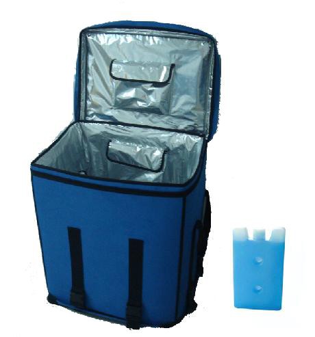 Large capacity Cold Chain Bag Supply