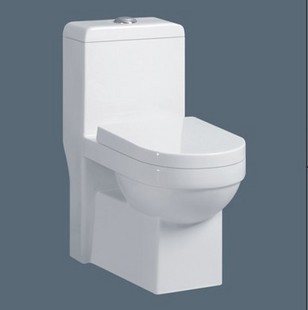 Indoor water-saving toilet quiet