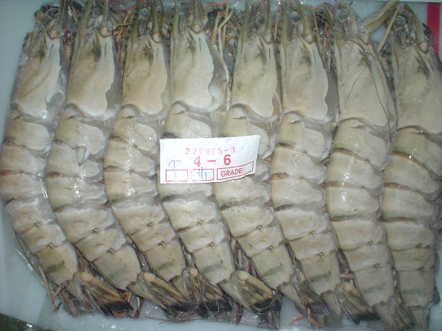 Black Tiger Shrimp