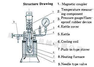 High Pressure Reactor