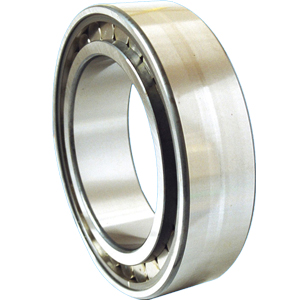 full complement cylindrical roller bearings