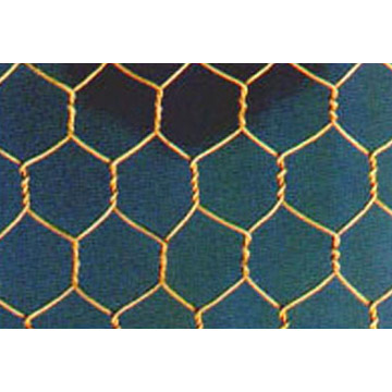 Hexagonal Wire Mesh