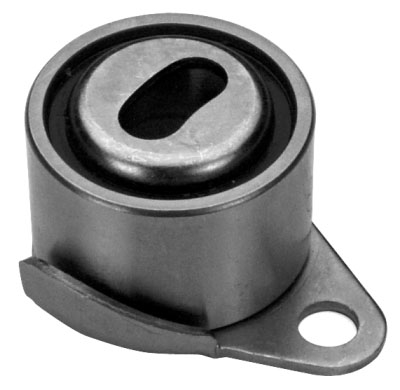 the tensioner bearings