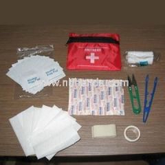 Mini First Aid Kit