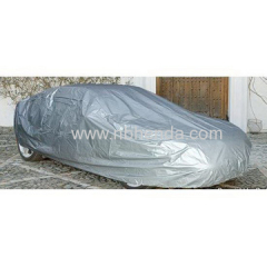 Custom Car Cover