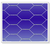 Hexagonal wire mesh