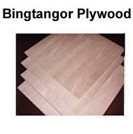 bintangor plywood