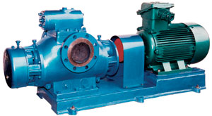 Cargo oil pump(twin screw pump)