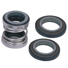 Double Mechanical Seal