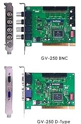 MPEG-4 16-Channel DVR Card GV-250 Geovision