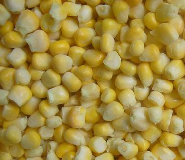 Frozen Sweet Corn 