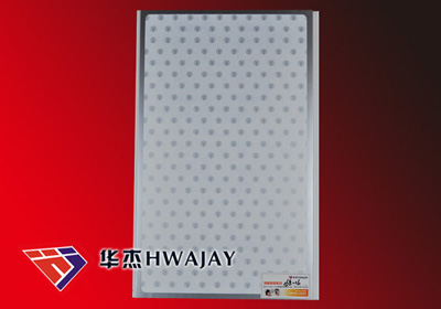 PVC Ceiling Panel