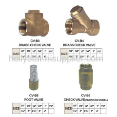 Brass Compression Fitting