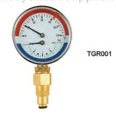 Temperature and Pressure Gauge