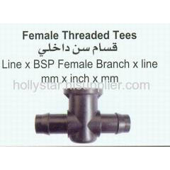 Female Threaded Tee