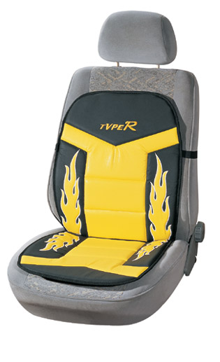 Car seat cover