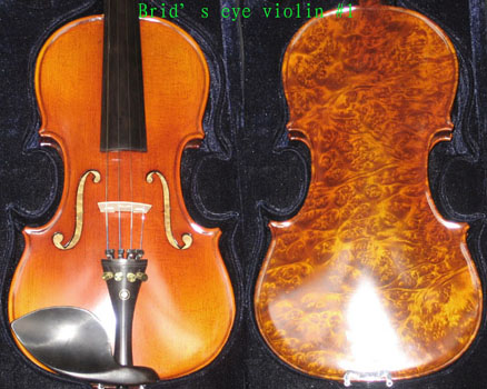 violin 