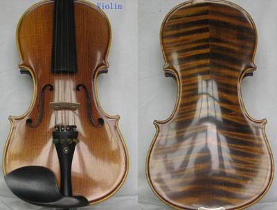 violin