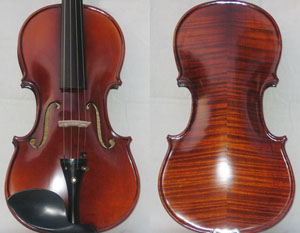 violin