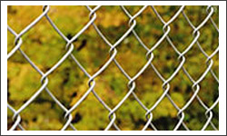 Chain Link Fence