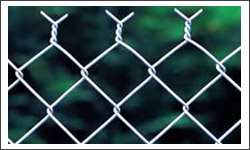 Chain Link Fence