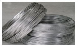 Stainless Steel Wire Mesh