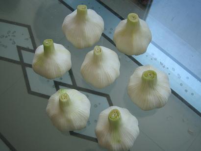 Fresh White Garlic in 2007 crop