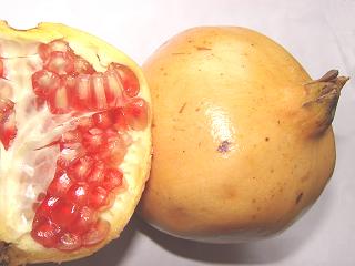 Pomegranate in 2007 crop