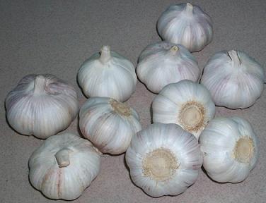 Fresh Normal White Garlic In 2007 Crop