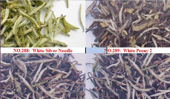 white tea