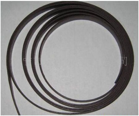 Flexible magnetic strip