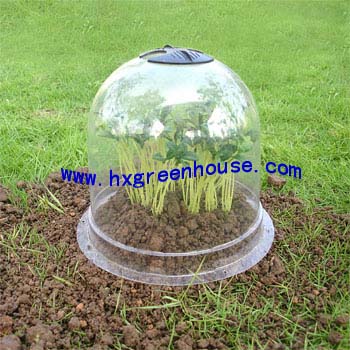 Bell cloche