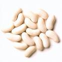 White Kidney Bean Extract 12:1/1% Phaseolamin