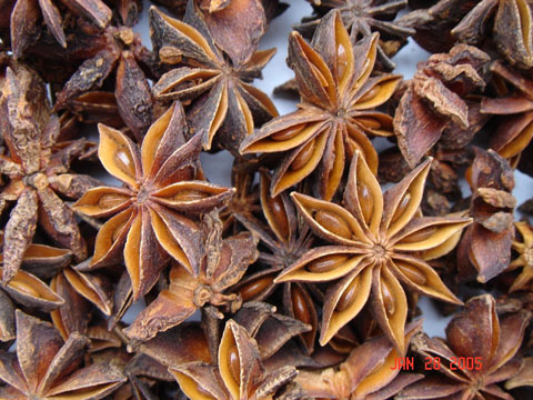 Star Aniseeds (Star Anise)