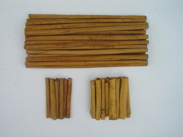 Cassia(Cinnamon) in Cigarette Shape