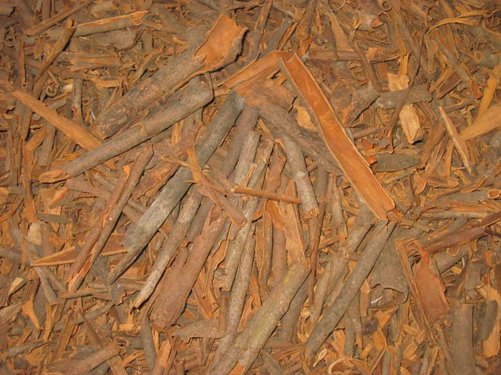 Broken Cassia (cinnamon)