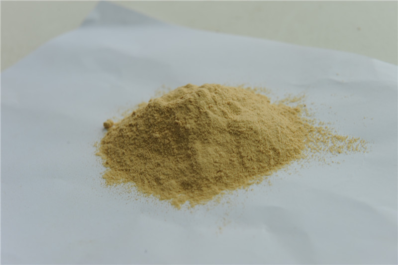 Tea Saponin Powder (60%)