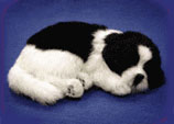  Perfect Petzzz ,Sleeping pets, sleeping dog,