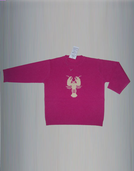 children cashmere sweater