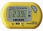 digital thermometer