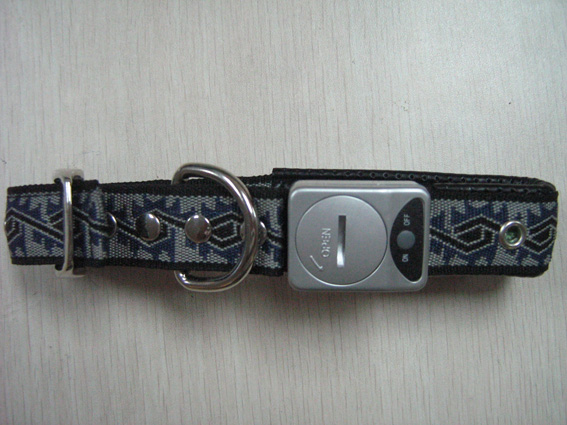 pet collar