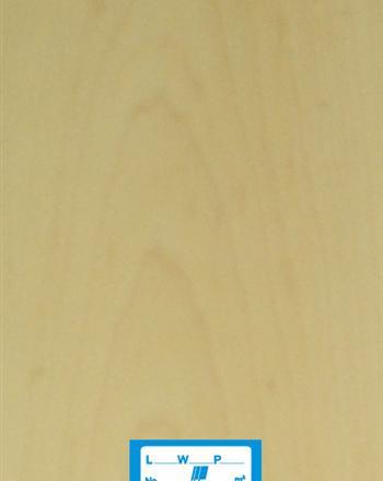 American Maple Veneer