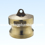 Brass Camlock Pipe Coupling