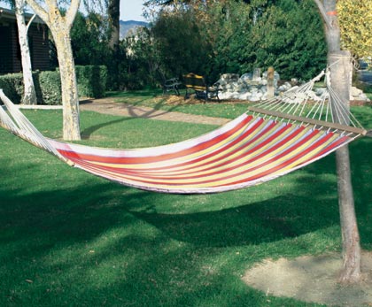 hammock chair,glider,tree swing chair 