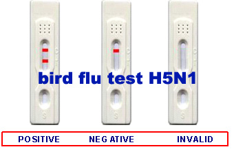 bird flu rapid test kits